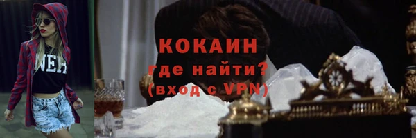 гидра Михайловск